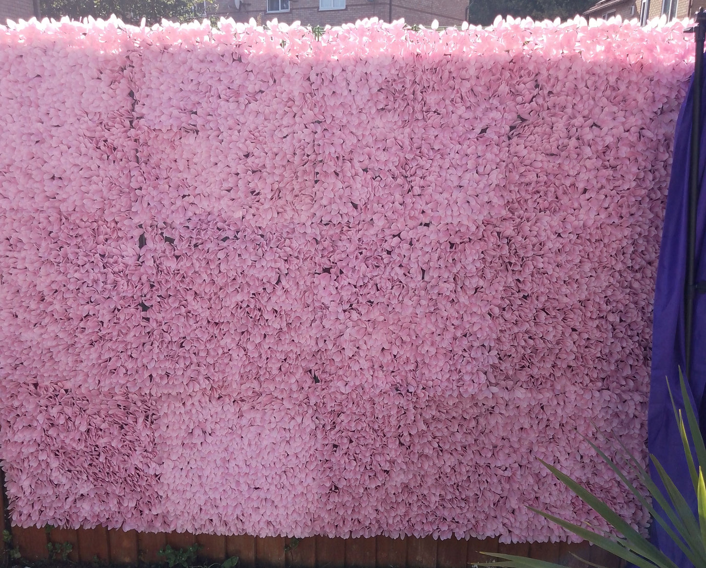 Pink Flower Wall Hire