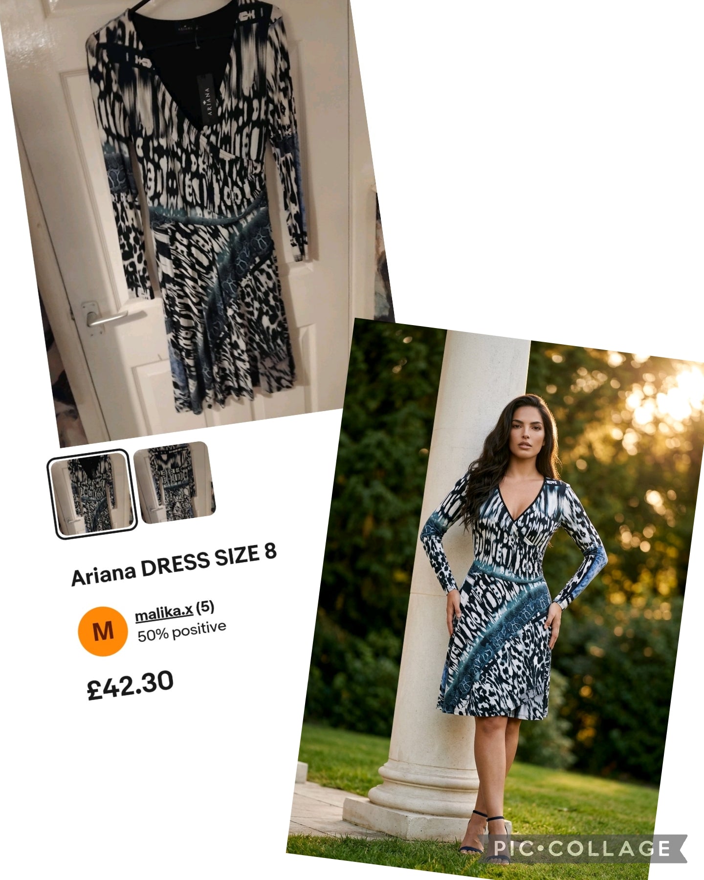 Arina Dress size 8 New