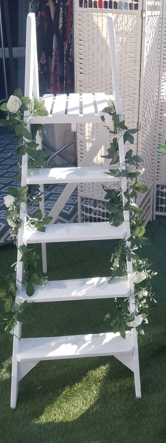 Display Ladder