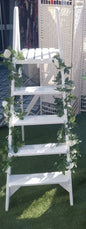 Display Ladder