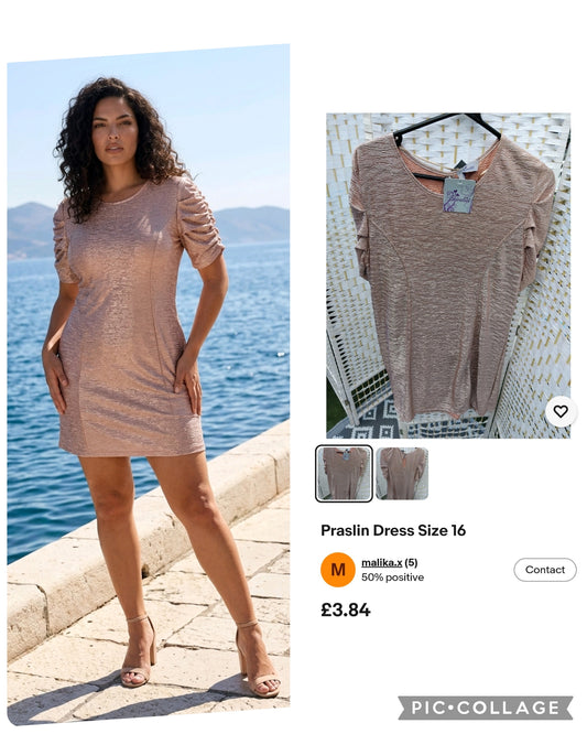 Praslin Dress New Size 16